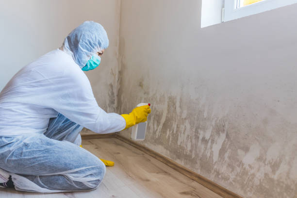 Mold Remediation specialist working in Flagtown